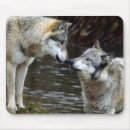 Suche nach wilder wolf mousepads Wölfe