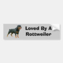 Suche nach rottweiler autoaufkleber Welpe