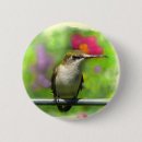 Suche nach schwebeflug accessoires Vogel