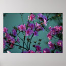 Suche nach azaleen poster Mit blumen