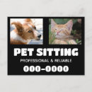 Suche nach katzen und hunde postkarten Werbung
