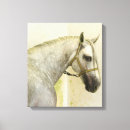 Suche nach pferd leinwandbilder Hengst
