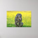 Suche nach mastiff Hundefreund