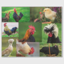 Suche nach hof geschenkpapier Huhn