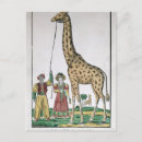 Suche nach giraffe postkarten Tier