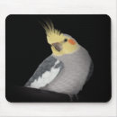Suche nach cockatiel mousepads Papagei