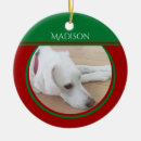 Suche nach rotkehlchen ornamente Niedlich