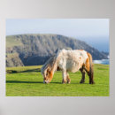 Suche nach western horse poster Ranch