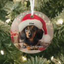 Suche nach boston terrier christmas ornamente Welpe