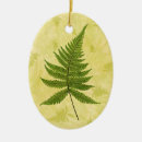 Suche nach farn ornamente Pflanze