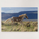Suche nach laufendes pferd puzzle Ranch