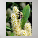 Suche nach hummel poster Fehler