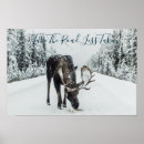 Suche nach moos poster Bäume