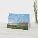 Suche nach strand karten Surfen