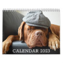 Suche nach fotografie kalender Haustier