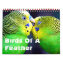 Suche nach vogel kalender vögel