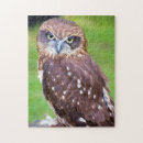 Suche nach owl puzzle Niedlich