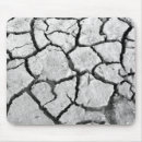 Suche nach getrocknet mousepads Natur