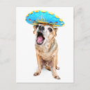 Suche nach niedlicher chihuahua postkarten Tier