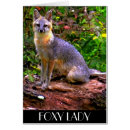 Suche nach foxy Füchse