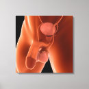 Suche nach organ leinwandbilder Komplexität