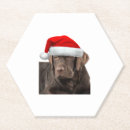 Suche nach schokolade labrador untersetzer Welpe