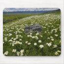 Suche nach wiese mousepads Grün