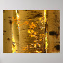 Suche nach aspen poster Tree