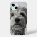 Suche nach schnauze iphone hüllen Welpe