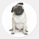 Suche nach mops party aufkleber Kaninchen