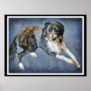 Suche nach labradoodles poster Niedlich