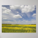 Suche nach senf poster Gelb