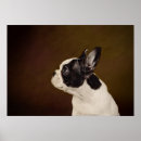 Suche nach frenchie poster Lustig