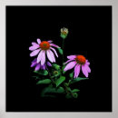 Suche nach gardening poster Colorful