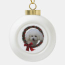 Suche nach bichon frise ornamente Niedlich