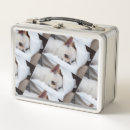 Suche nach hundeliebhaber brotdosen Tier