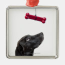 Suche nach misch ornamente Schwarzes