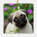 Suche nach lustiger mops ornamente Niedlich