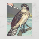Suche nach vintage vögel postkarten Malerei