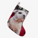 Suche nach englische weihnachts strümpfe Bulldogge