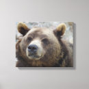 Suche nach braunbär leinwandbilder Grizzlybär
