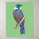 Suche nach einheimisch poster Vogelvogel