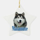Suche nach alaskan malamute ornamente Malamute hund von alaska
