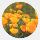 Suche nach robe aufkleber Blume