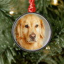 Suche nach golden retriever ornamente Welpe