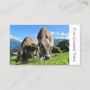 Suche nach lassen sie weiden visitenkarten Landwirtschaft