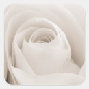 Suche nach blumenblatt aufkleber Blüte