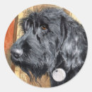 Suche nach labradoodles aufkleber Hunde