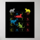 Suche nach bunte katzen poster Kätzchen
