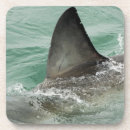 Suche nach südafrika untersetzer Natur